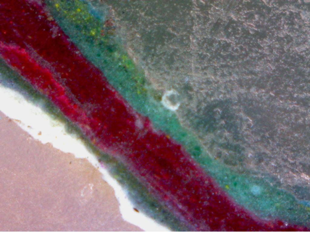 étude stratigraphique microscopique